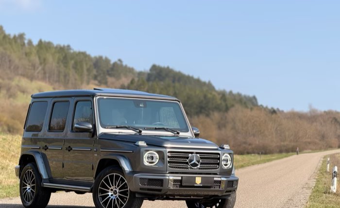 Mercedes-Benz G 500 in Grau Metallic